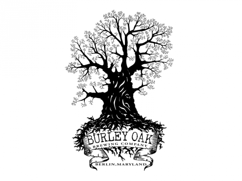 BURLEY OAK